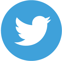 ./TwitterIcon_1781637984247